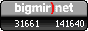bigmir TOP100